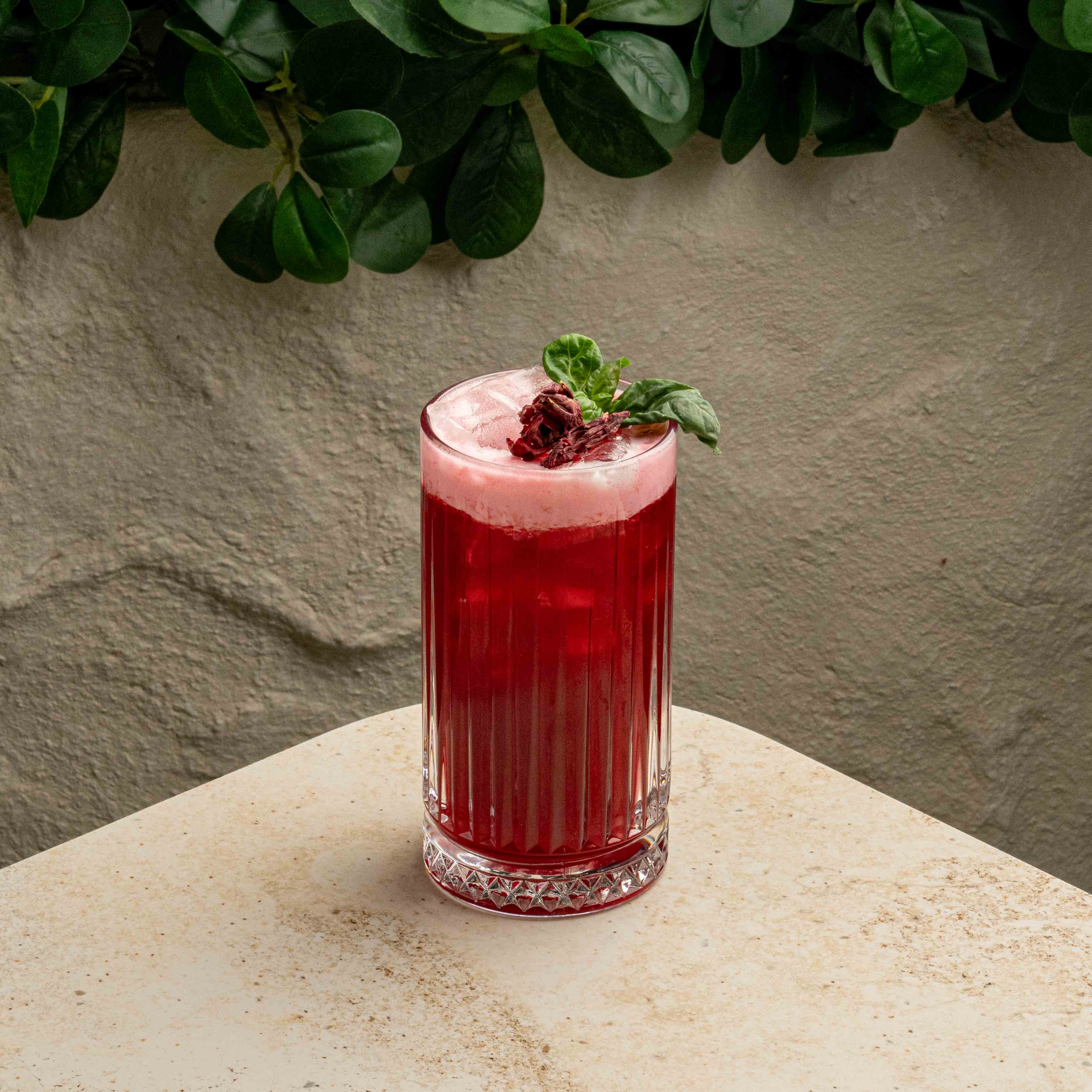 بلودي هيبسكس