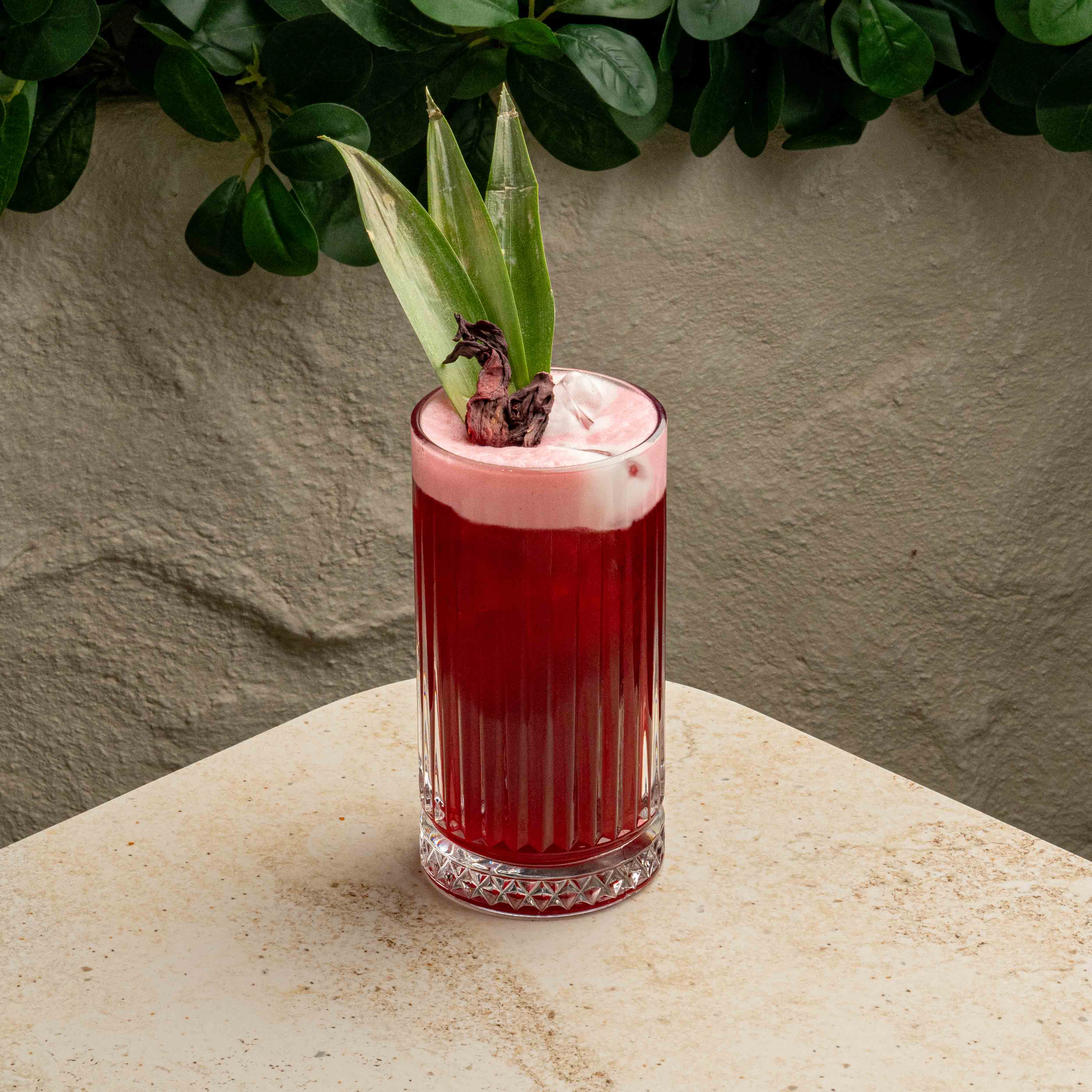 هيبسكس لايف